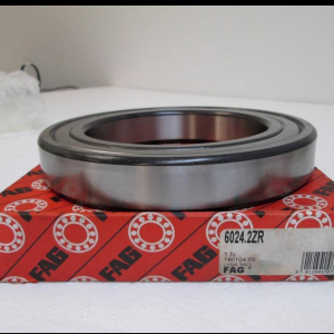 /images/companies/DHTech/common/vong-bi-cau-ranh-sau/fag-6024-2zr-deep-groove-ball-bearing1.jpg