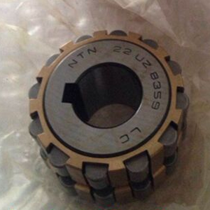 /images/companies/DHTech/common/vong-bi-lech-tam/ntn-22uz8359-eccentric-bearing1.jpg