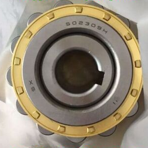 /images/companies/DHTech/common/vong-bi-lech-tam/ntn-502309h-eccentric-bearing1.jpg