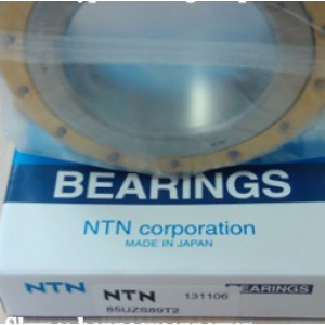 /images/companies/DHTech/common/vong-bi-lech-tam/ntn-85uzs89t2-eccentric-bearing-1.jpg