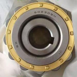 NTN 502309H Eccentric Bearing